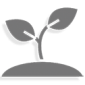 Plant-icon